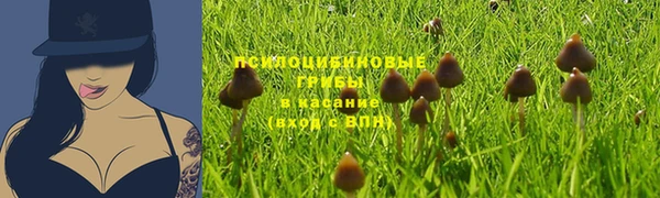 скорость mdpv Верхний Тагил